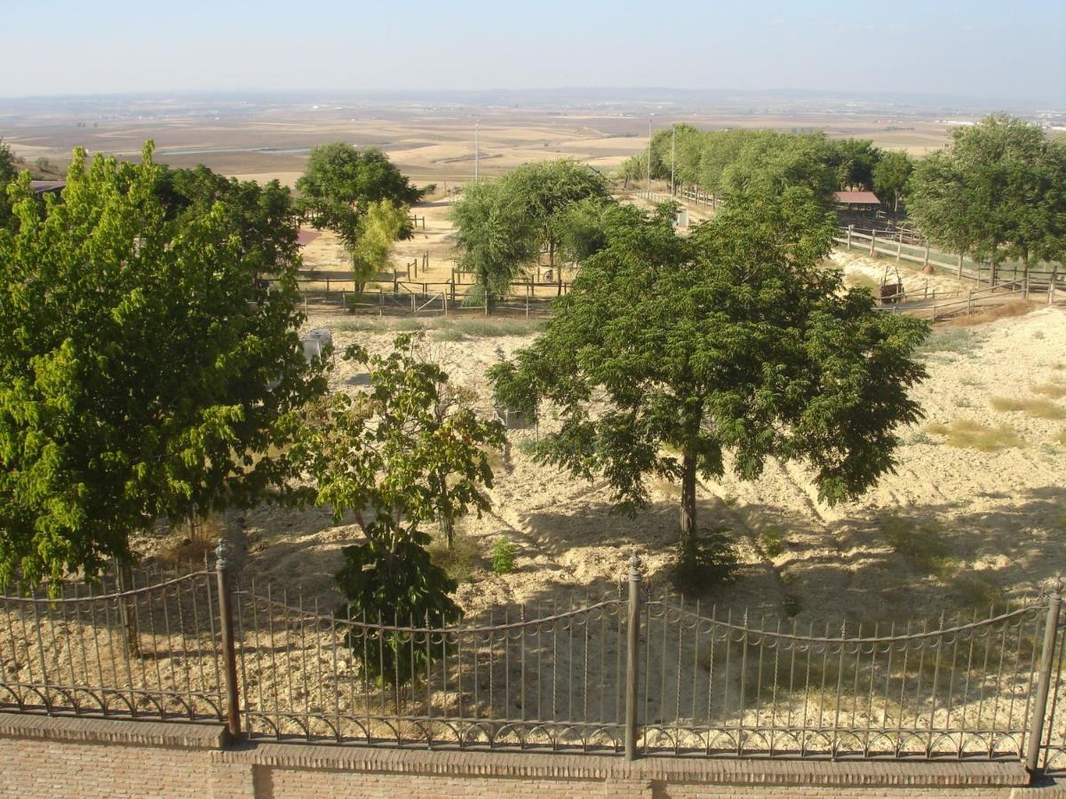 Sevilla Saltera Casa Rural Cerca Centro De Sevilla Familiar - Trabajo - Wifi Salteras المظهر الخارجي الصورة